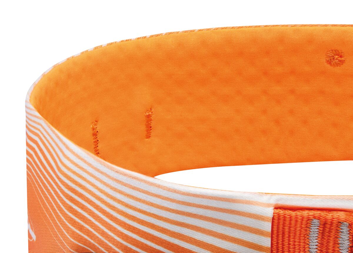 Petzl Sitta Harness