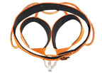 Petzl Hirundos Harness