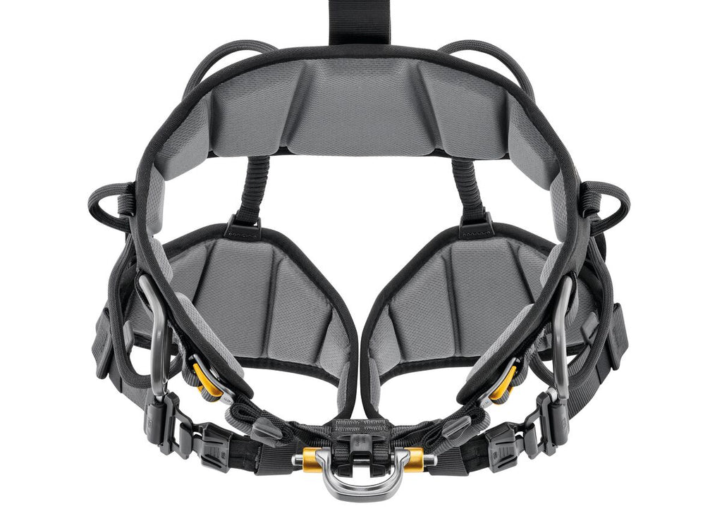 Petzl Astro Harness