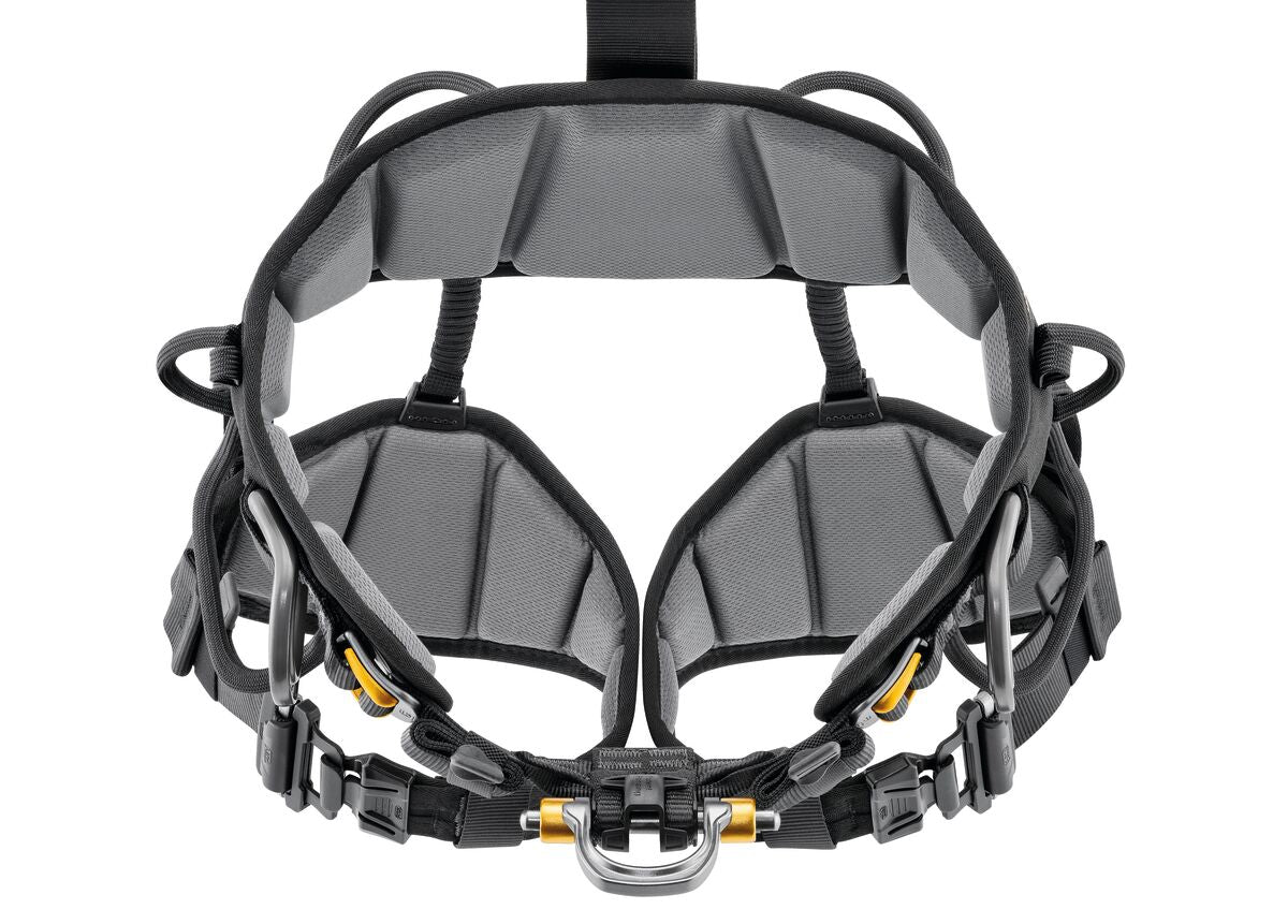 Petzl Astro Harness