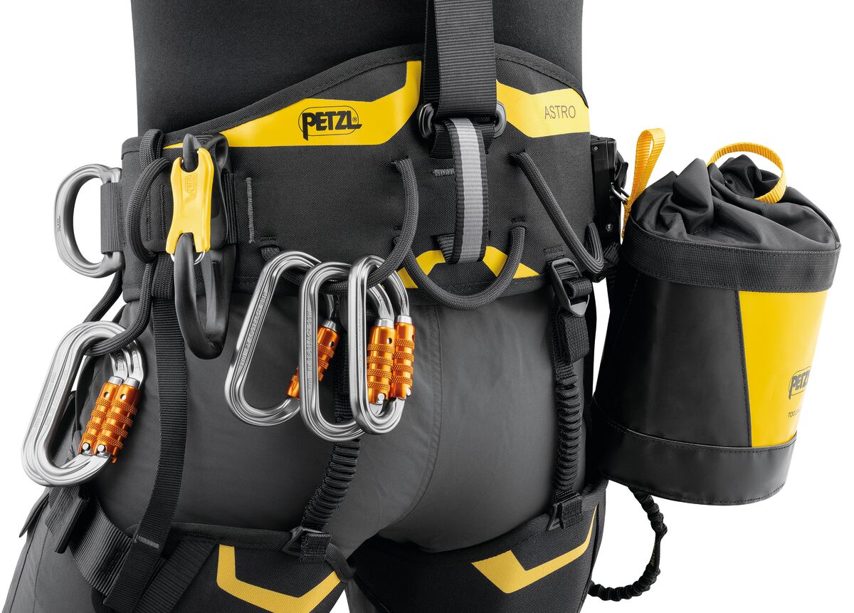 Petzl Astro Harness