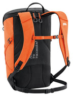 Petzl Bug 18L Bag